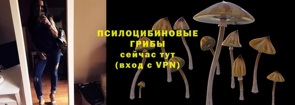 соль ск Коряжма