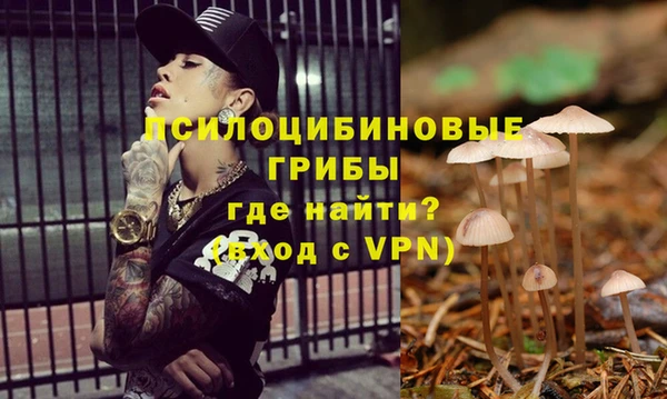 mdpv Корсаков